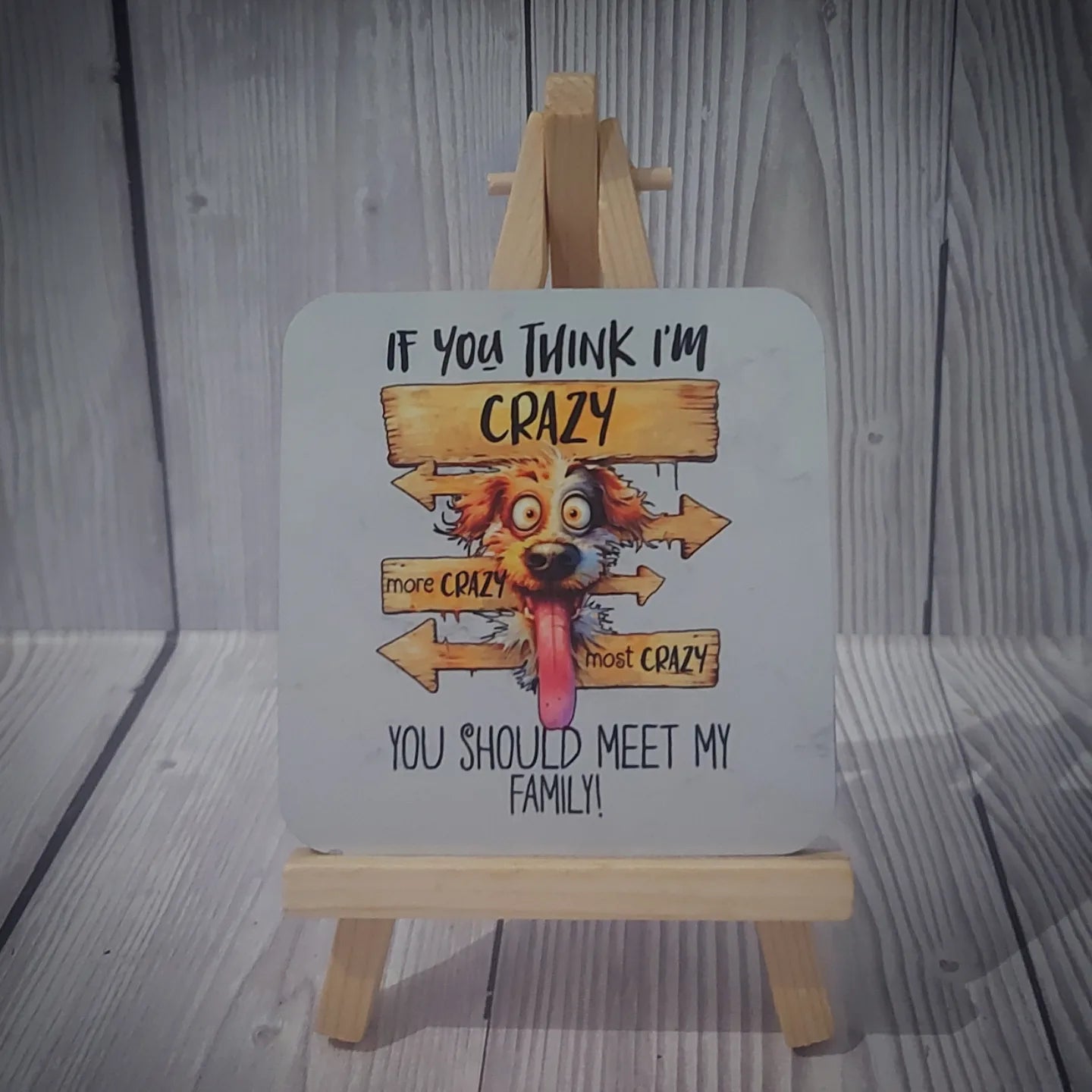Quirky Sarcasm Animal Coasters